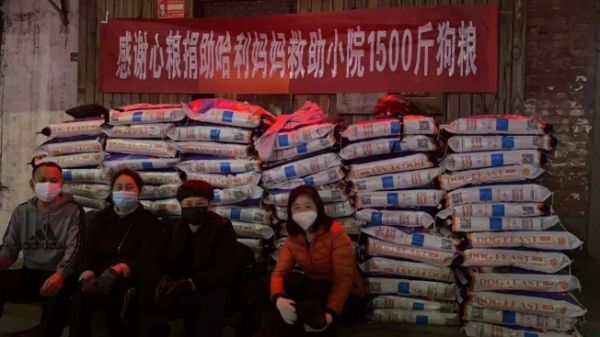 心粮公益丨救助流浪动物，用心传递温暖