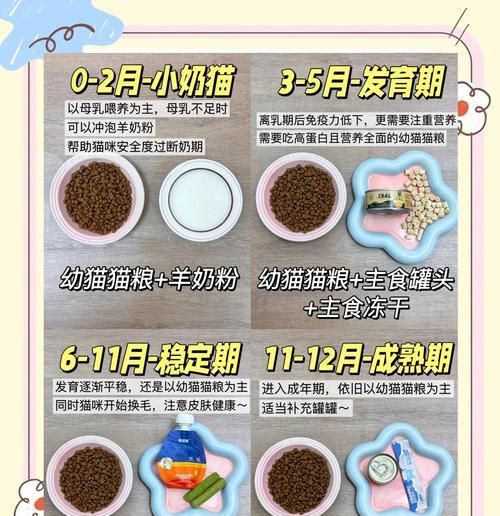 仅用猫粮如何做出美味的猫咪食物？有哪些创意食谱？