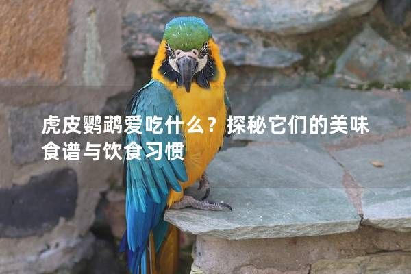 虎皮鹦鹉爱吃什么？探秘它们的美味食谱与饮食习惯