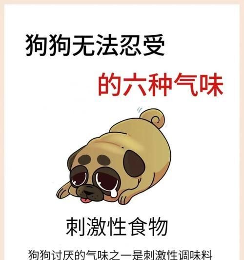 了解狗狗，让它们成为最好的伙伴（以宠物为主，从饲养到训练全方位解读狗狗知识）