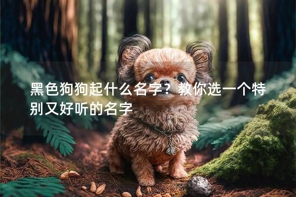 黑色狗狗起什么名字?教你选一个特别又好听的名字