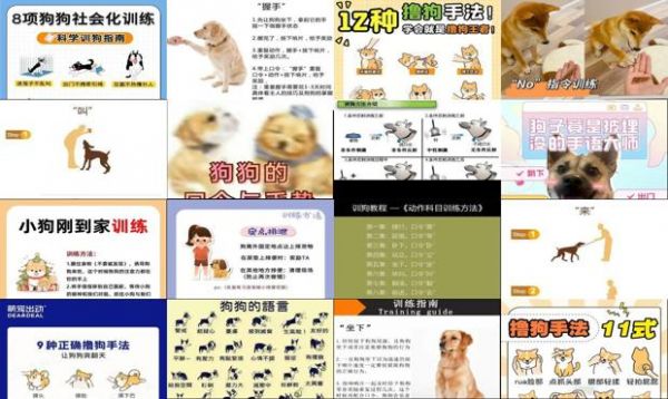 训狗手势图解 口令