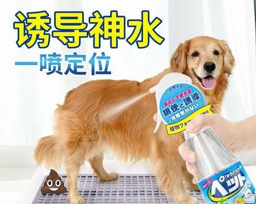 培养快乐宠物，从幼犬训练开始（15个训练技巧助你打造听话、亲近的宠物）