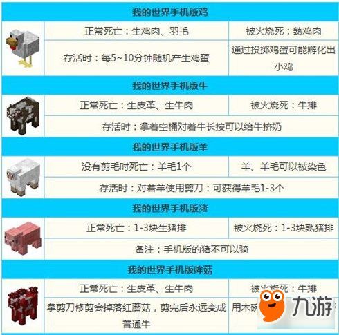 驯服宠物的技巧和方法？宠物训练师推荐的五大训练工具