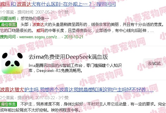 波音达猎犬和威玛猎犬哪个好