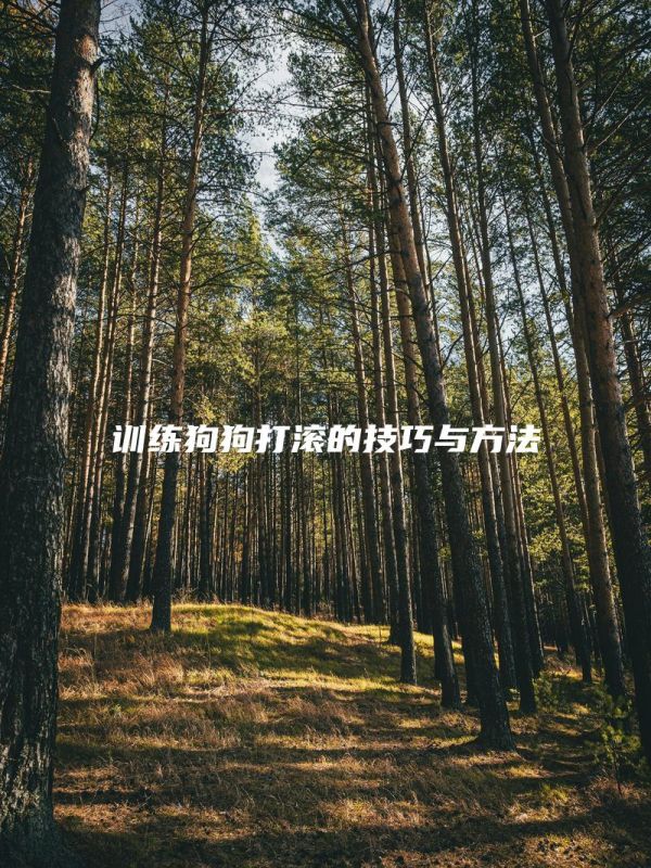 训练狗狗打滚的技巧与方法