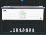 全自动三元催化净烟抚阳艾灸床