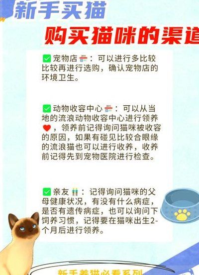 买猫要注意什么（买猫要注意什么细节）