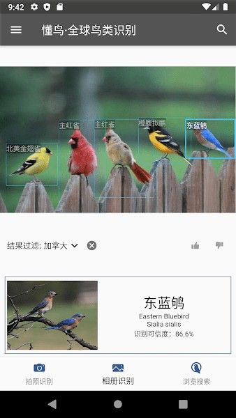 懂鸟全球鸟类识别