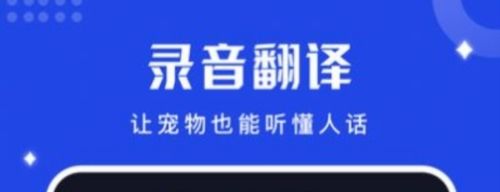鸟语语言翻译器1