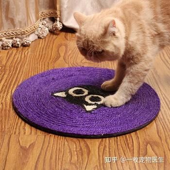 猫咪抓板,这款产品有什么独特之处吗?