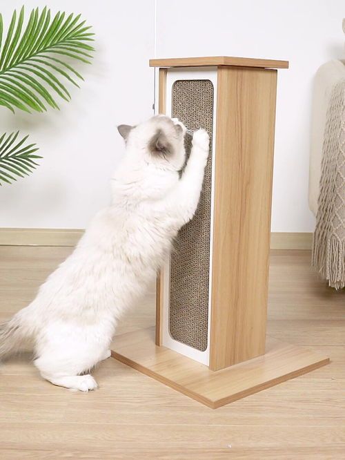 猫咪抓板,这款产品有什么独特之处吗?