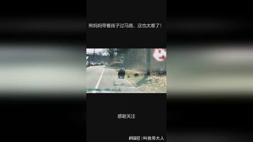 熊妈妈带着孩子过马路，这也太难了！