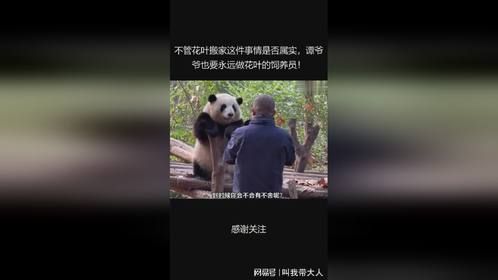 不管花叶搬家这件事情是否属实，谭爷爷也要永远做花叶的饲养员！