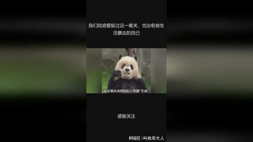 我们陪渝爱挺过这一难关，也治愈被生活暴击的自己