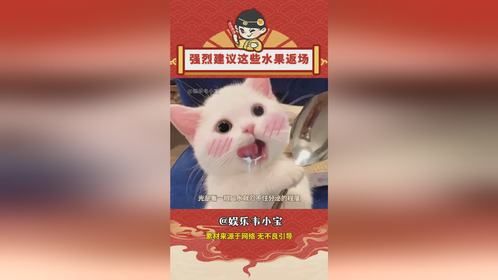 强烈建议这些水果返场