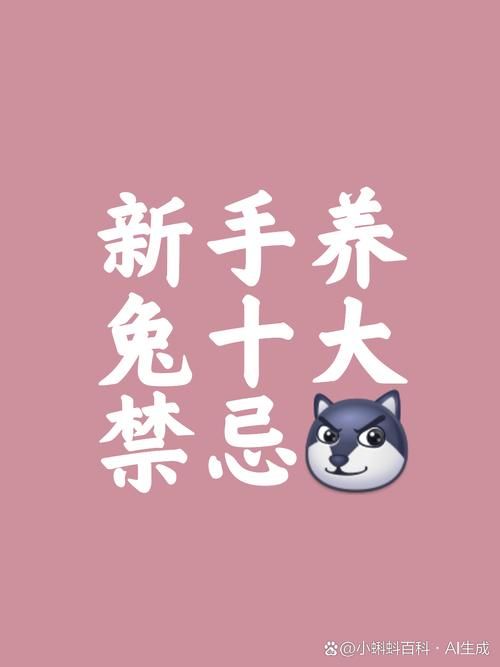 宠物兔需不需要洗澡消毒-宠物兔需不需要洗澡消毒呢