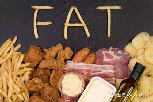 柴犬饮食:高蛋白、低脂肪、适量碳水化合物