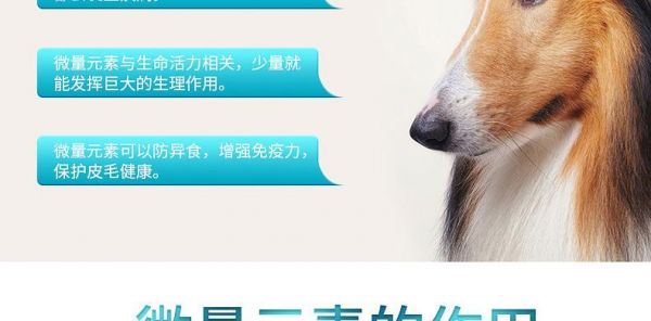 泰迪犬的微量元素需求及摄入量（探究泰迪犬每日所需微量元素摄入量的重要性）
