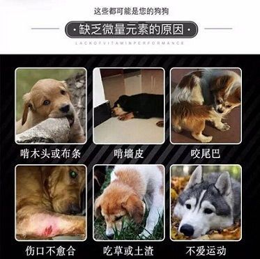 宠物狗所需微量元素一览表