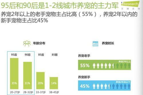宠物微量元素需求分析,健康养护指南