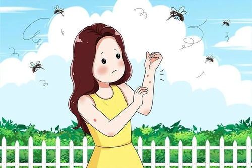 宠物痒不停，查明原因治痒痒