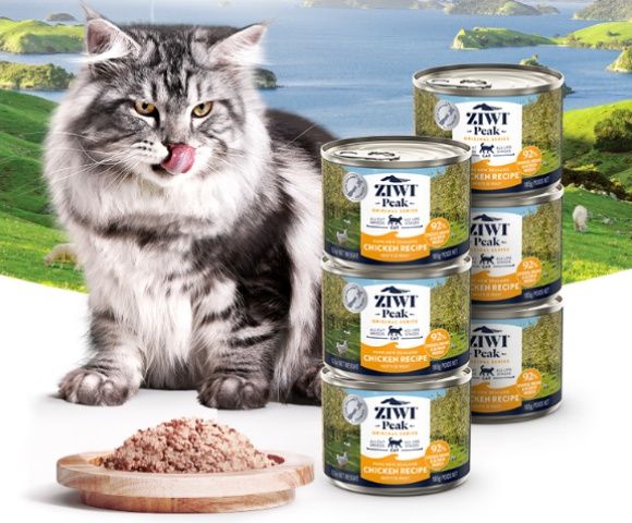 高端猫罐头推荐：这些进口猫罐头品牌不可错过
