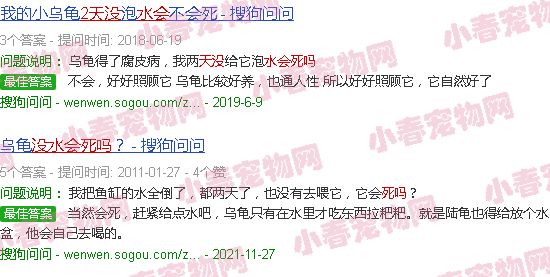 草龟干养2天没水会死吗