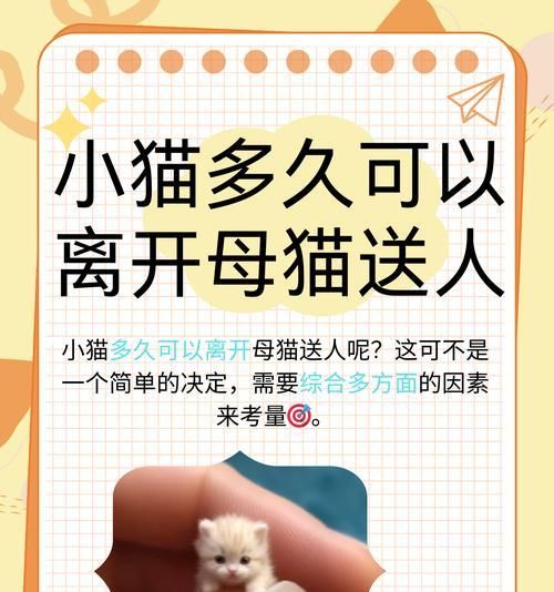 猫咪与母猫的亲子关系（探索猫咪与母猫之间的互动和行为习惯）