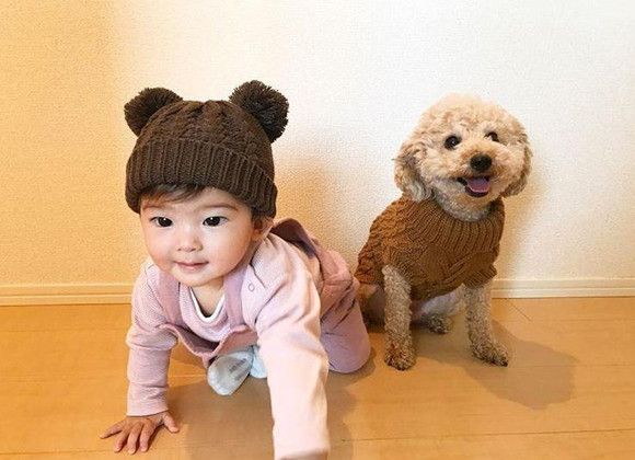 泪目！狗子与宝宝的那些友爱瞬间……