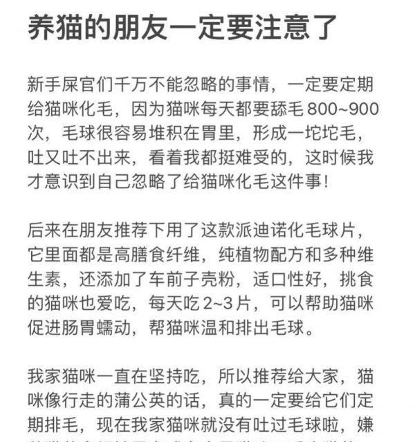 小猫咪的养育指南（以一个月左右的小猫咪为例，如何正确养育）