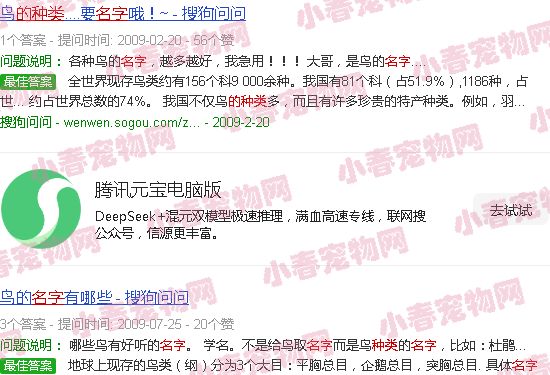 宠物鸟的种类名称