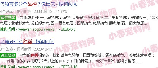 常见的宠物龟种类