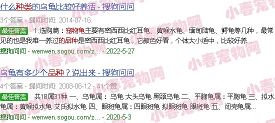宠物龟的种类介绍