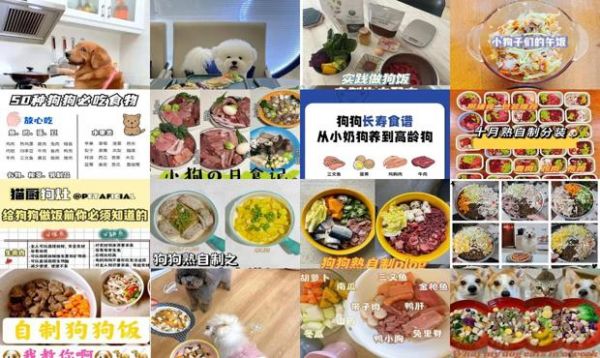 给狗狗做饭的食谱大全