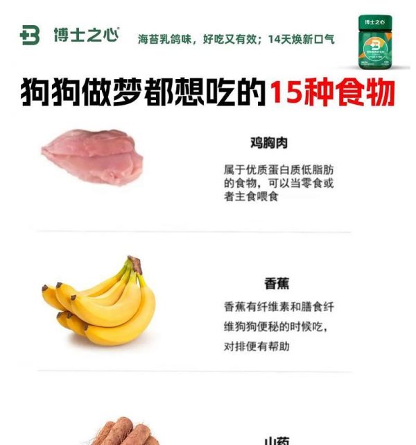 哪些营养药食品能让狗狗更健康？如何选择？