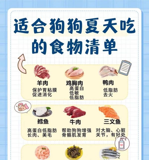哪些营养药食品能让狗狗更健康？如何选择？