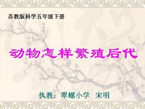 《2 动物怎样繁殖后代》PPT课件(安徽省县级优课).ppt