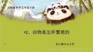 《2 动物怎样繁殖后代》PPT课件(辽宁省县级优课).ppt