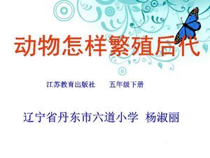 《2 动物怎样繁殖后代》PPT课件(辽宁省县级优课).ppt