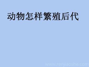 《2 动物怎样繁殖后代》PPT课件(江苏省市级优课).ppt