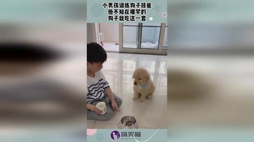 小男孩训练狗子技能，他不知在哪学的，狗子就吃这一套！