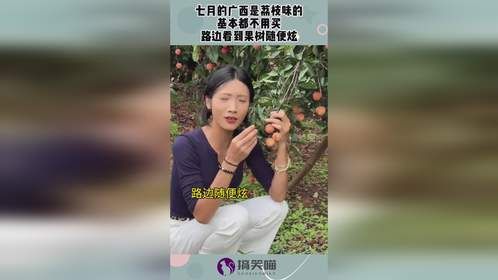 七月的广西是荔枝味的，基本都不用买，路边看到果树随便炫！