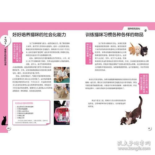 宠物呼吸健康护理指南