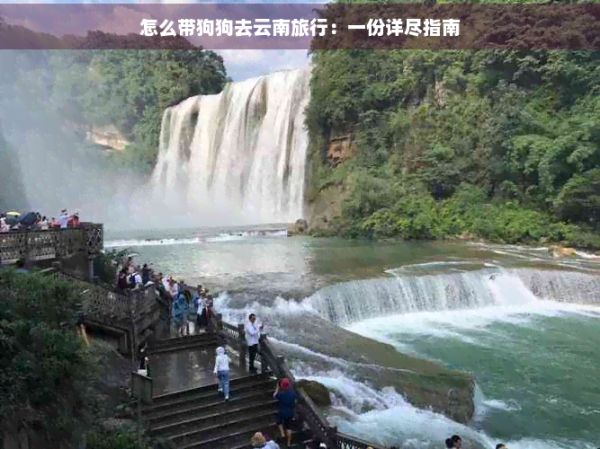 怎么带狗狗去云南旅行：一份详尽指南