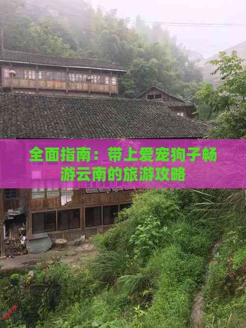 全面指南：带上爱宠狗子畅游云南的旅游攻略