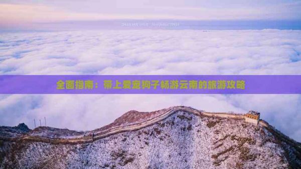 全面指南：带上爱宠狗子畅游云南的旅游攻略