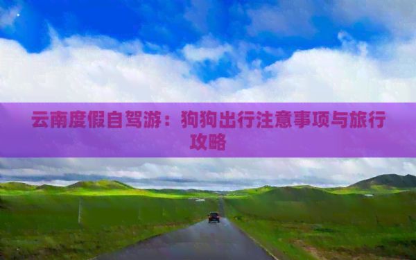云南度假自驾游：狗狗出行注意事项与旅行攻略