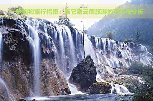 一岁狗狗旅行指南：带它到云南旅游的可行性分析