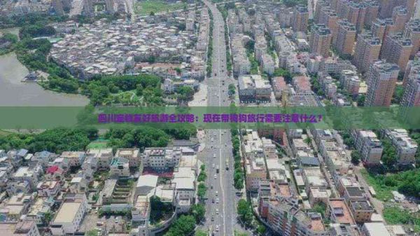 四川宠物友好旅游全攻略：现在带狗狗旅行需要注意什么？